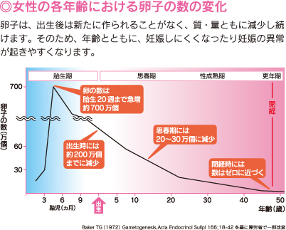 女性の各年齢における卵子の数の変化