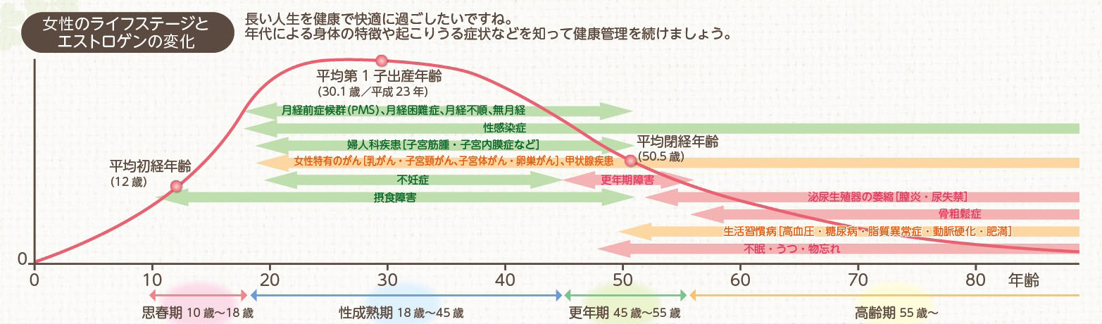 女性のライフステージとエストロゲンの変化を表した図