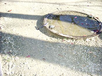 参考写真1