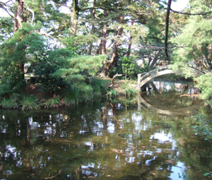 月見嶋の清水の写真