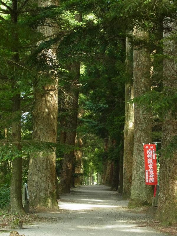 眼目山立山寺の栂並木