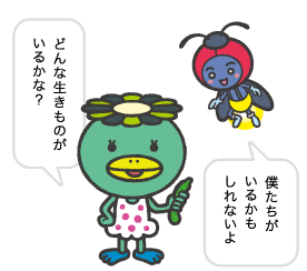 どんな生きものがいるかな?