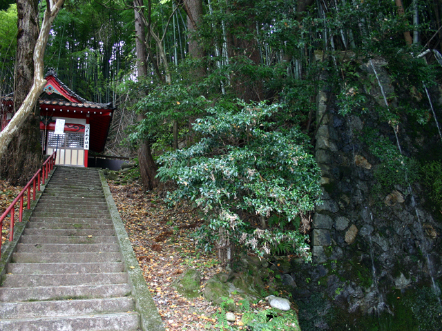 八木山の滝保勝会3