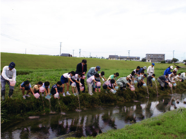 高橋川を愛する会2