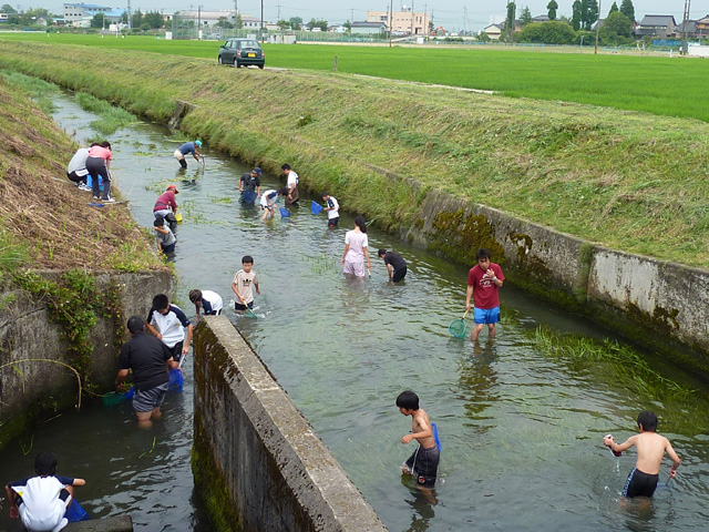 射水市立大門小学校1