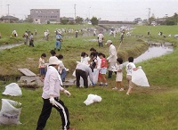 自然豊かな美しい水辺環境