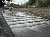 平成の名水百選：いたち川のどんどこ