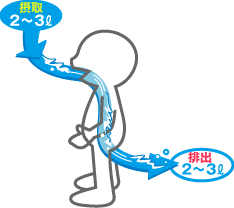 人が必要な水の量