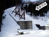 雪崩減勢柵の写真