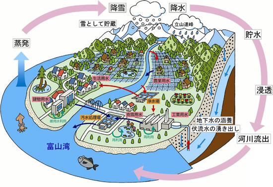 水の循環図