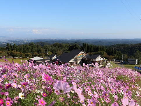 夢の平