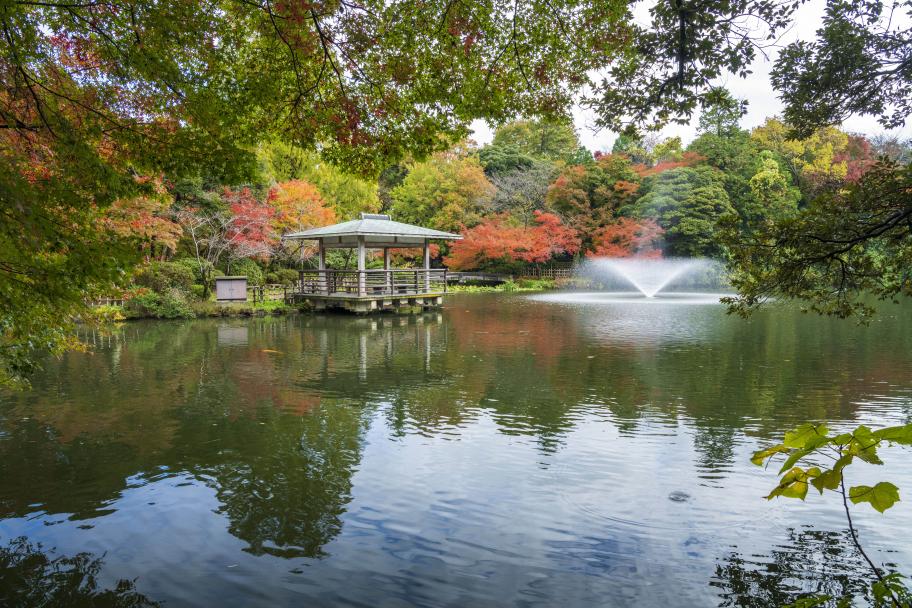 高岡古城公園の水濠（秋）