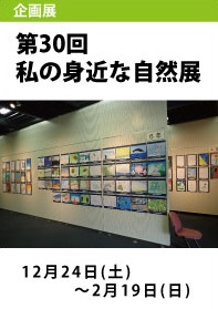 自然展