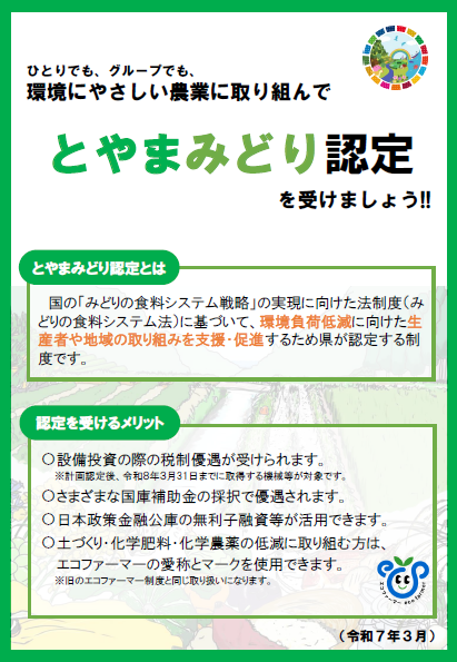 チラシ表