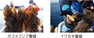 養殖研究