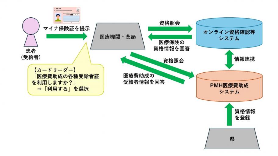 PMHイラスト