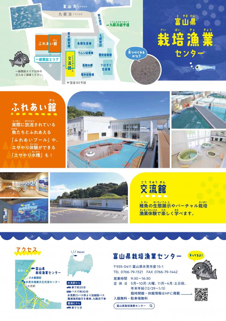 チラシ裏