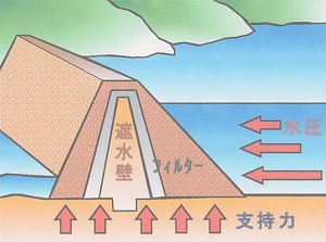 フィルダムの画像