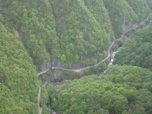 県道利賀河合線