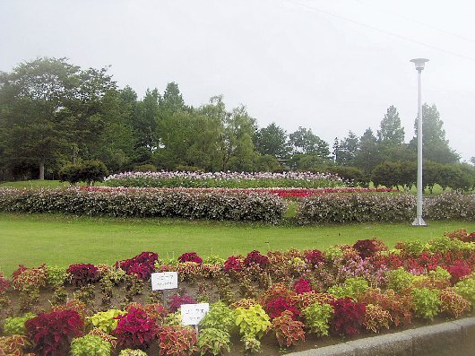 草花・花木