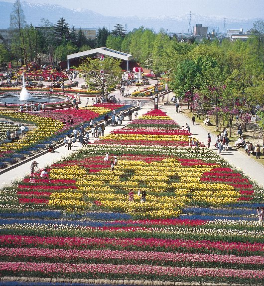 チューリップ公園