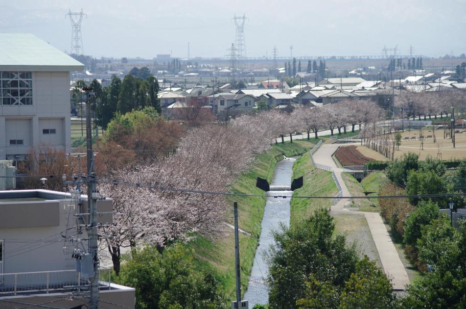 京坪川の遠景