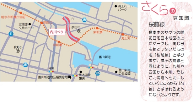 （左）アクセス地図（右）さくらの豆知識「桜前線」