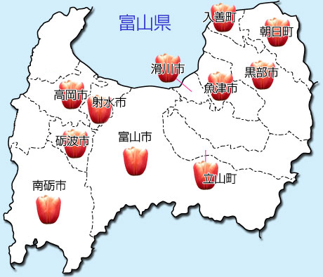 富山県内のチューリップ球根産地の地図