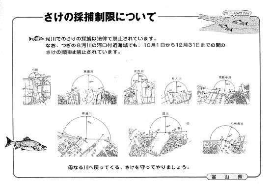 河口付近におけるサケ採捕禁止区域