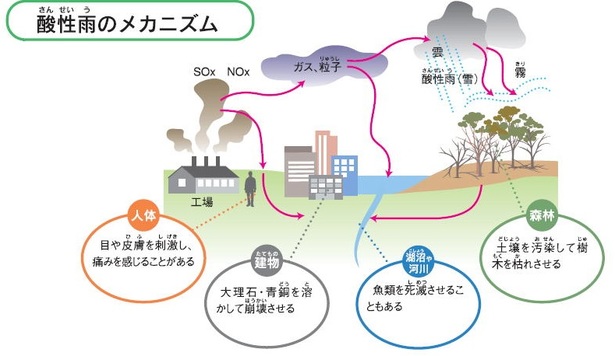 酸性雨のメカニズム